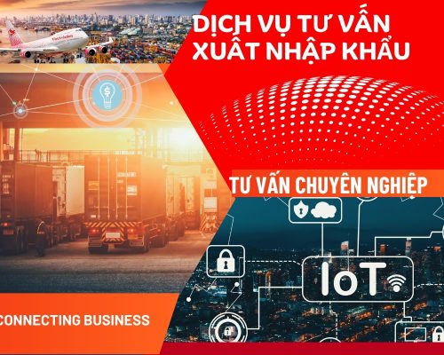 DỊCH VỤ TƯ VẤN XUẤT NHẬP KHẨU