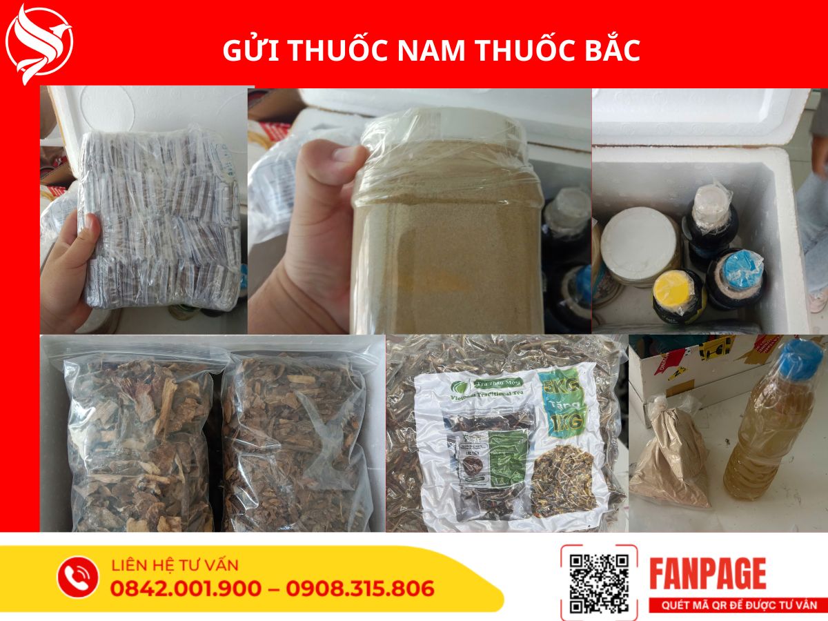 gửi hàng thuốc đi nước ngoài